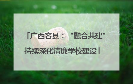 广西容县：“融合共建”持续深化清廉学校建设