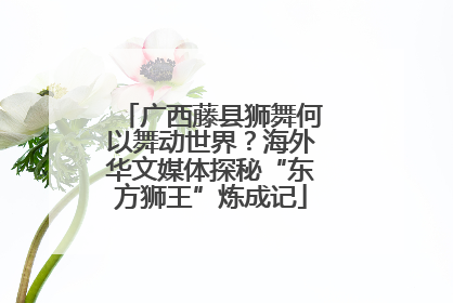 广西藤县狮舞何以舞动世界？海外华文媒体探秘“东方狮王”炼成记