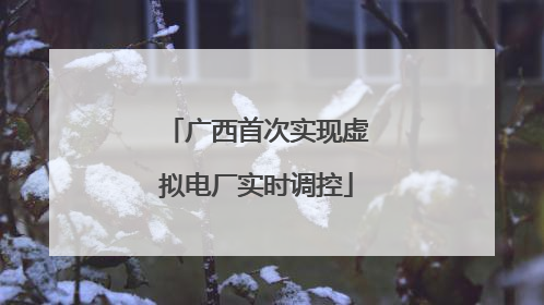 广西首次实现虚拟电厂实时调控
