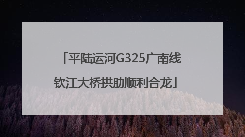 平陆运河G325广南线钦江大桥拱肋顺利合龙