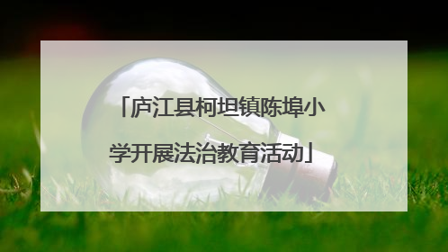 庐江县柯坦镇陈埠小学开展法治教育活动