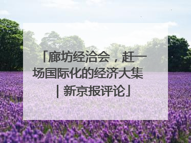 廊坊经洽会，赶一场国际化的经济大集｜新京报评论
