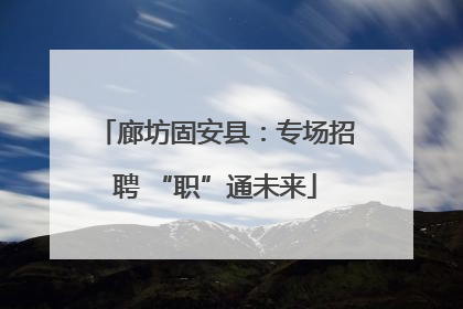 廊坊固安县：专场招聘 “职”通未来