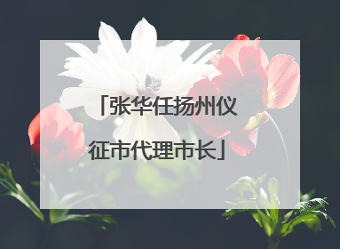 张华任扬州仪征市代理市长