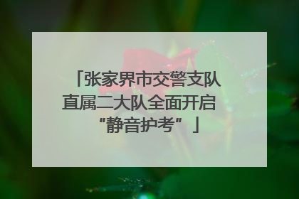 张家界市交警支队直属二大队全面开启“静音护考”
