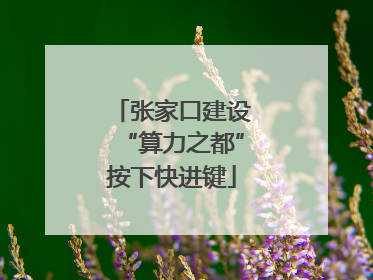 张家口建设“算力之都”按下快进键