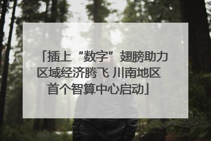 插上“数字”翅膀助力区域经济腾飞 川南地区首个智算中心启动