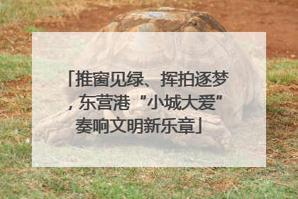 推窗见绿、挥拍逐梦，东营港“小城大爱”奏响文明新乐章