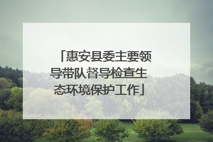 惠安县委主要领导带队督导检查生态环境保护工作