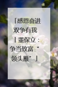 感恩奋进 双争有我丨董保立：争当致富“领头雁”