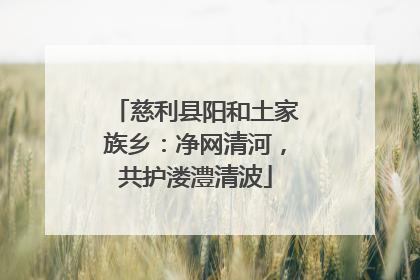 慈利县阳和土家族乡：净网清河，共护溇澧清波