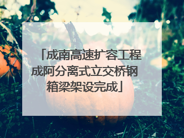 成南高速扩容工程成阿分离式立交桥钢箱梁架设完成