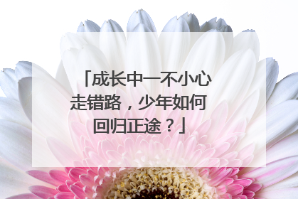 成长中一不小心走错路，少年如何回归正途？