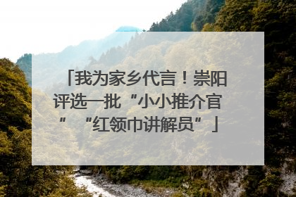 我为家乡代言！崇阳评选一批“小小推介官”“红领巾讲解员”