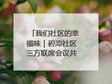 我们社区的幸福味｜碧潭社区三方联席会议共建紫岫幸福家