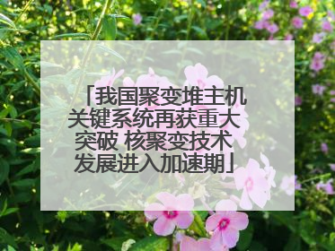 我国聚变堆主机关键系统再获重大突破 核聚变技术发展进入加速期