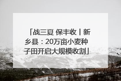 战三夏 保丰收丨新乡县：20万亩小麦种子田开启大规模收割