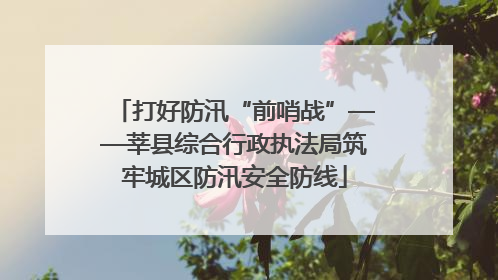 打好防汛“前哨战”——莘县综合行政执法局筑牢城区防汛安全防线