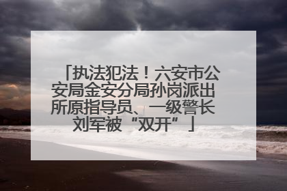 执法犯法！六安市公安局金安分局孙岗派出所原指导员、一级警长刘军被“双开”