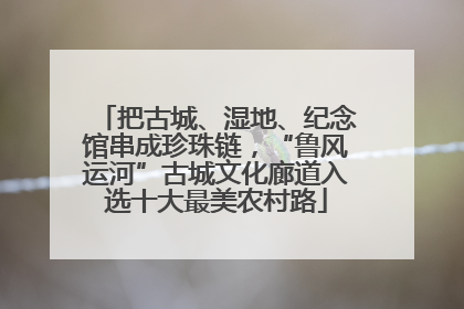 把古城、湿地、纪念馆串成珍珠链，“鲁风运河”古城文化廊道入选十大最美农村路