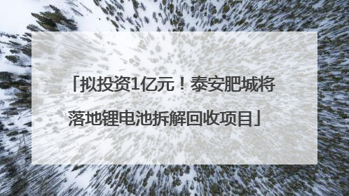 拟投资1亿元！泰安肥城将落地锂电池拆解回收项目