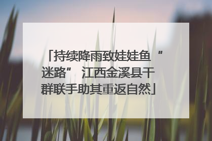 持续降雨致娃娃鱼“迷路” 江西金溪县干群联手助其重返自然