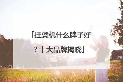 挂烫机什么牌子好？十大品牌揭晓
