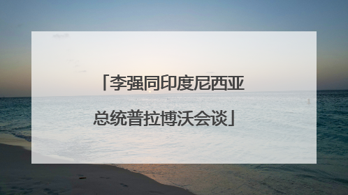 李强同印度尼西亚总统普拉博沃会谈