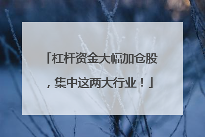 杠杆资金大幅加仓股，集中这两大行业！