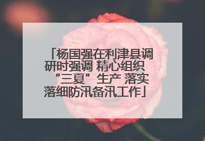 杨国强在利津县调研时强调 精心组织“三夏”生产 落实落细防汛备汛工作