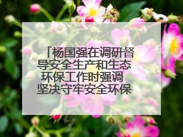 杨国强在调研督导安全生产和生态环保工作时强调 坚决守牢安全环保底线红线 为全市经济社会高质量发展提供坚强保障