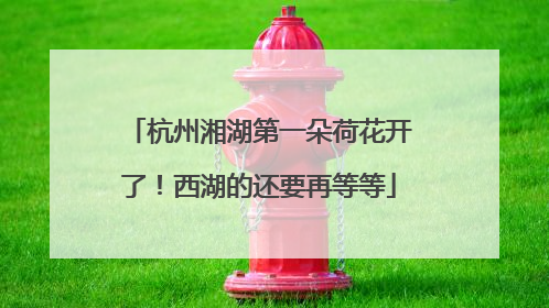 杭州湘湖第一朵荷花开了！西湖的还要再等等