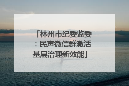 林州市纪委监委：民声微信群激活基层治理新效能