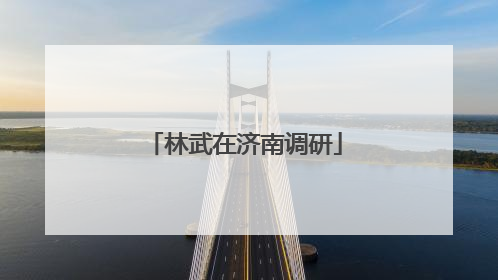 林武在济南调研