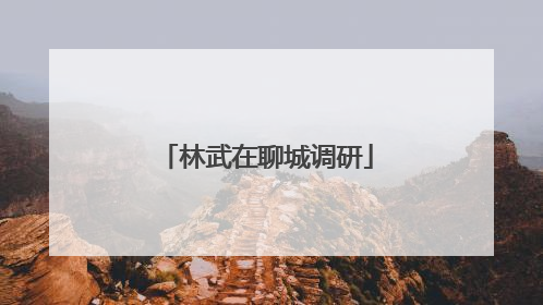 林武在聊城调研
