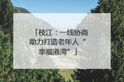 枝江：一线协商助力打造老年人“幸福港湾”