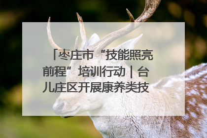 枣庄市“技能照亮前程”培训行动｜台儿庄区开展康养类技能进校园活动