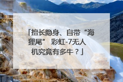 擅长隐身、自带“海狸尾” 彩虹-7无人机究竟有多牛？