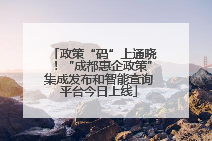 政策“码”上通晓！“成都惠企政策”集成发布和智能查询平台今日上线