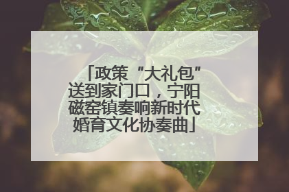 政策“大礼包”送到家门口，宁阳磁窑镇奏响新时代婚育文化协奏曲