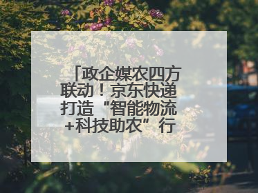 政企媒农四方联动！京东快递打造“智能物流+科技助农”行业直播新标杆
