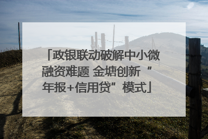 政银联动破解中小微融资难题 金塘创新“年报+信用贷”模式