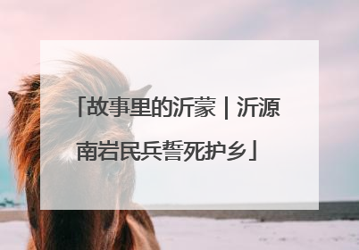 故事里的沂蒙｜沂源南岩民兵誓死护乡