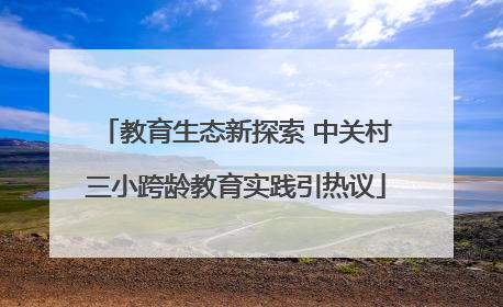 教育生态新探索 中关村三小跨龄教育实践引热议