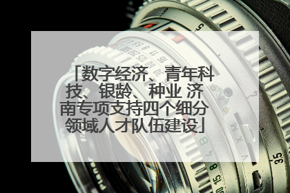 数字经济、青年科技、银龄、种业 济南专项支持四个细分领域人才队伍建设