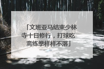 文班亚马结束少林寺十日修行，打球吃斋练拳样样不落