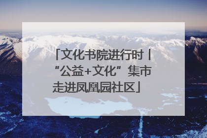 文化书院进行时丨“公益+文化”集市走进凤凰园社区