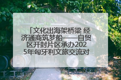 文化出海架桥梁 经济通商筑梦船——自贸区开封片区承办2025年匈牙利文旅交流对接活动专场