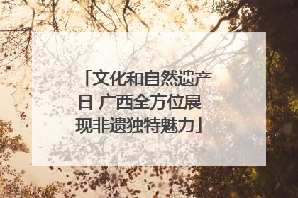 文化和自然遗产日 广西全方位展现非遗独特魅力