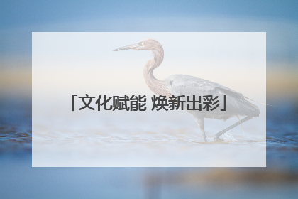 文化赋能 焕新出彩